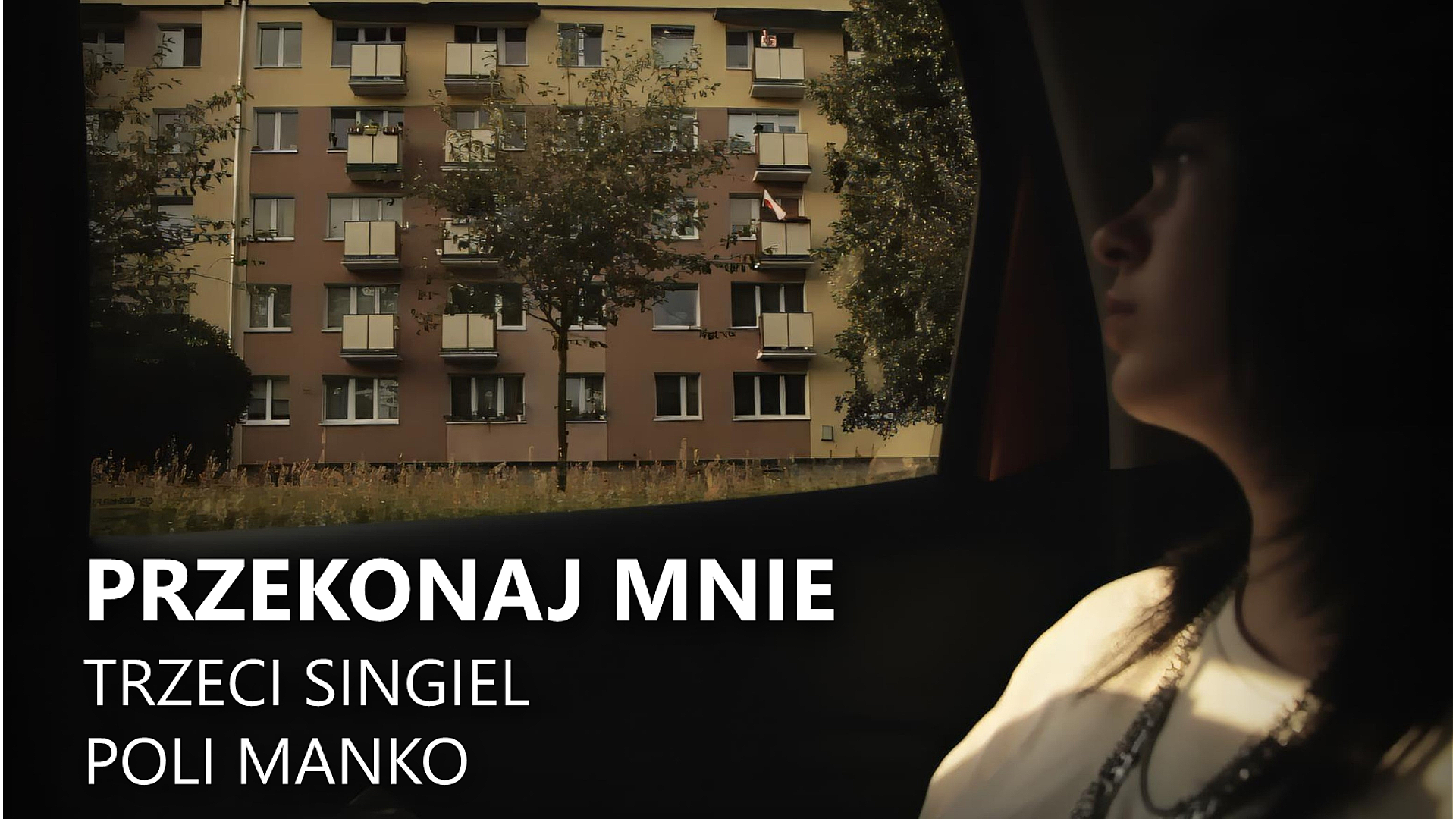 Fotowizytówka teledysku Przekonaj mnie